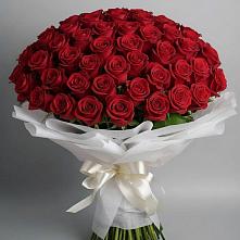 Букет 101 Красная роза Блэк Мэджик в Красногорской