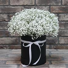Цветочная композиция из Гипсофила в шляпной коробке в Красногорской