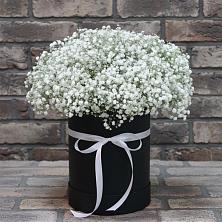 Цветочная композиция из Гипсофила в шляпной коробке в Красногорской