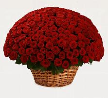 Премиум букет из: Розы в Красногорской