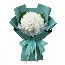 Букет цветов из:  Гортензия в Красногорской